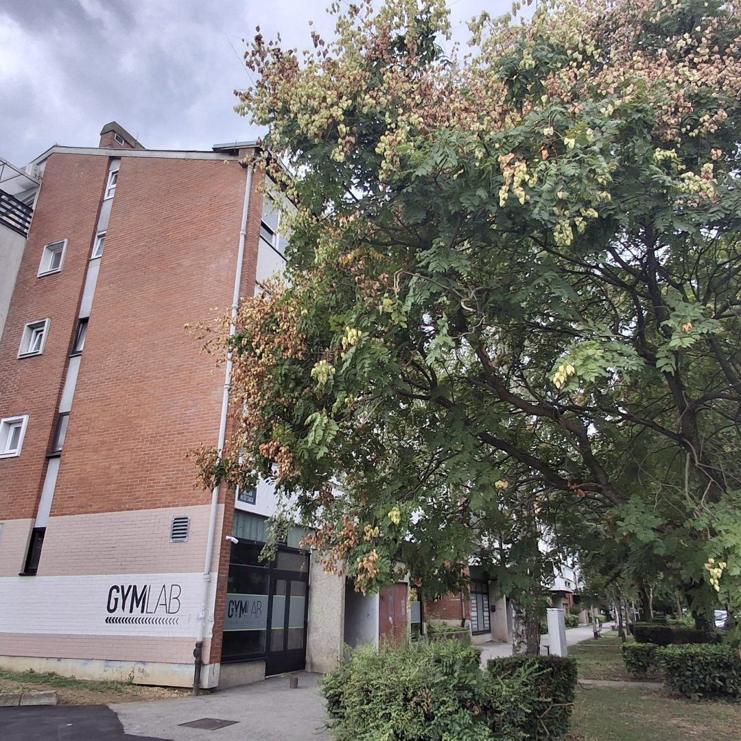 ZAGREB,Ulica Milana Rešetara,Trosobni stan s lođom i spremištem,73,80 m²