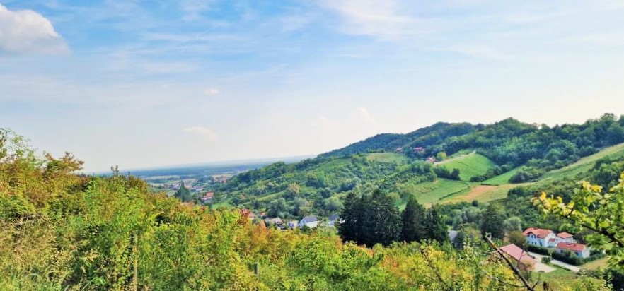 Sv. Nedelja, elegantna kuća 400 m2 s 5000 m2 zemljišta, BEZ PROVIZIJE ZA KUPCA! - Slika 19