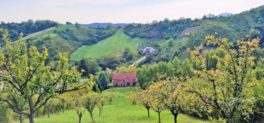 Sv. Nedelja, elegantna kuća 400 m2 s 5000 m2 zemljišta, BEZ PROVIZIJE ZA KUPCA! - Slika 17