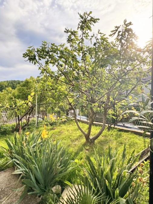 Kustošija, kuća 220,00 m² s garažom, BEZ PROVIZIJE ZA KUPCA! - Slika 6