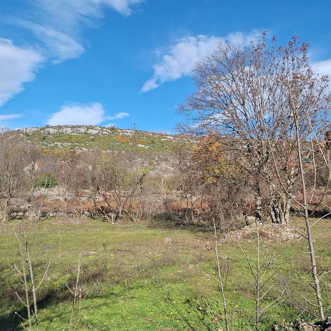 Brštanovo (Općina Klis)-građevinsko zemljište 3.621 m² s kamenom ruševinom