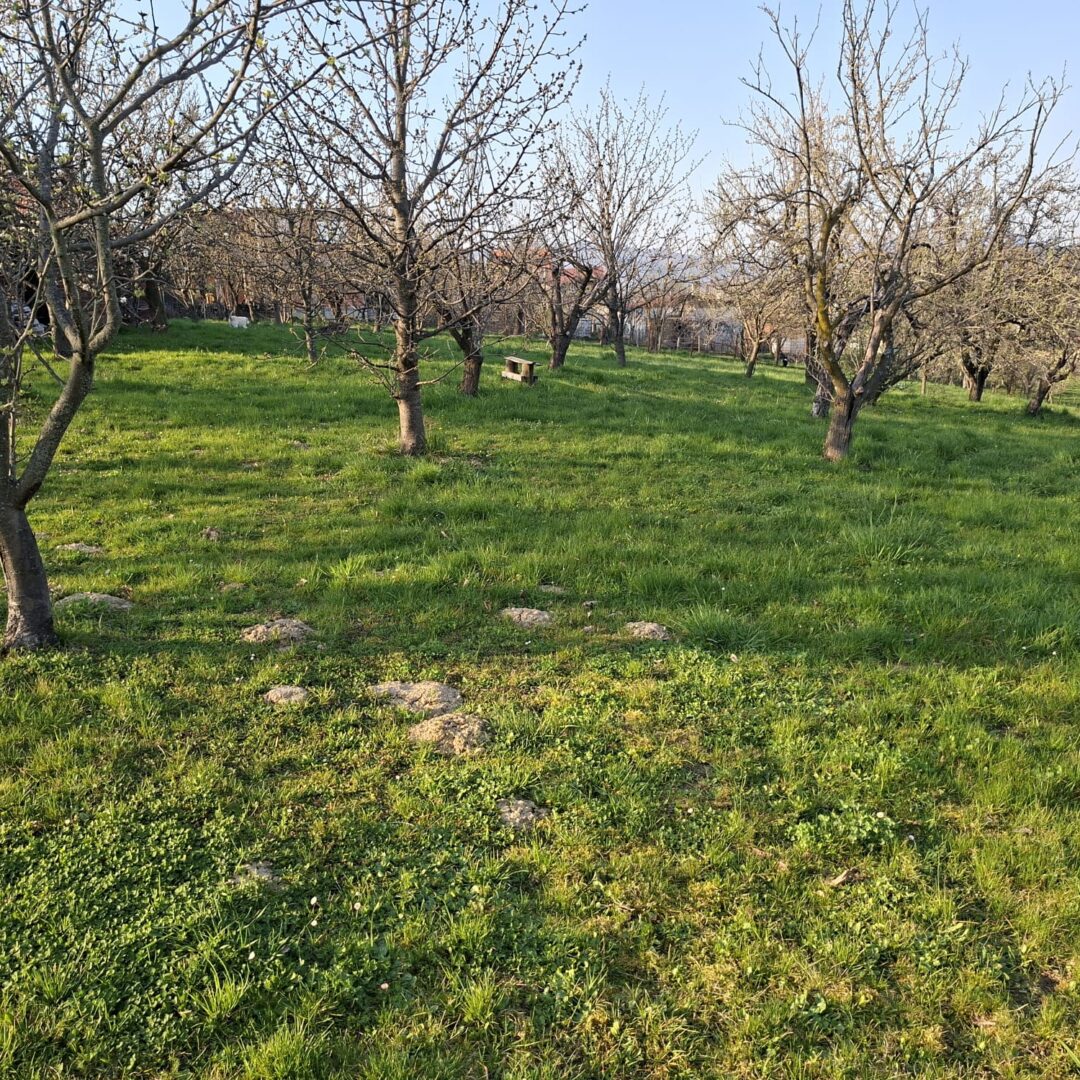 GRAĐEVINSKO ZEMLJIŠTE–3.087 m²–INVESTICIJSKA PRILIKA–GRANEŠINA, ZAGREB