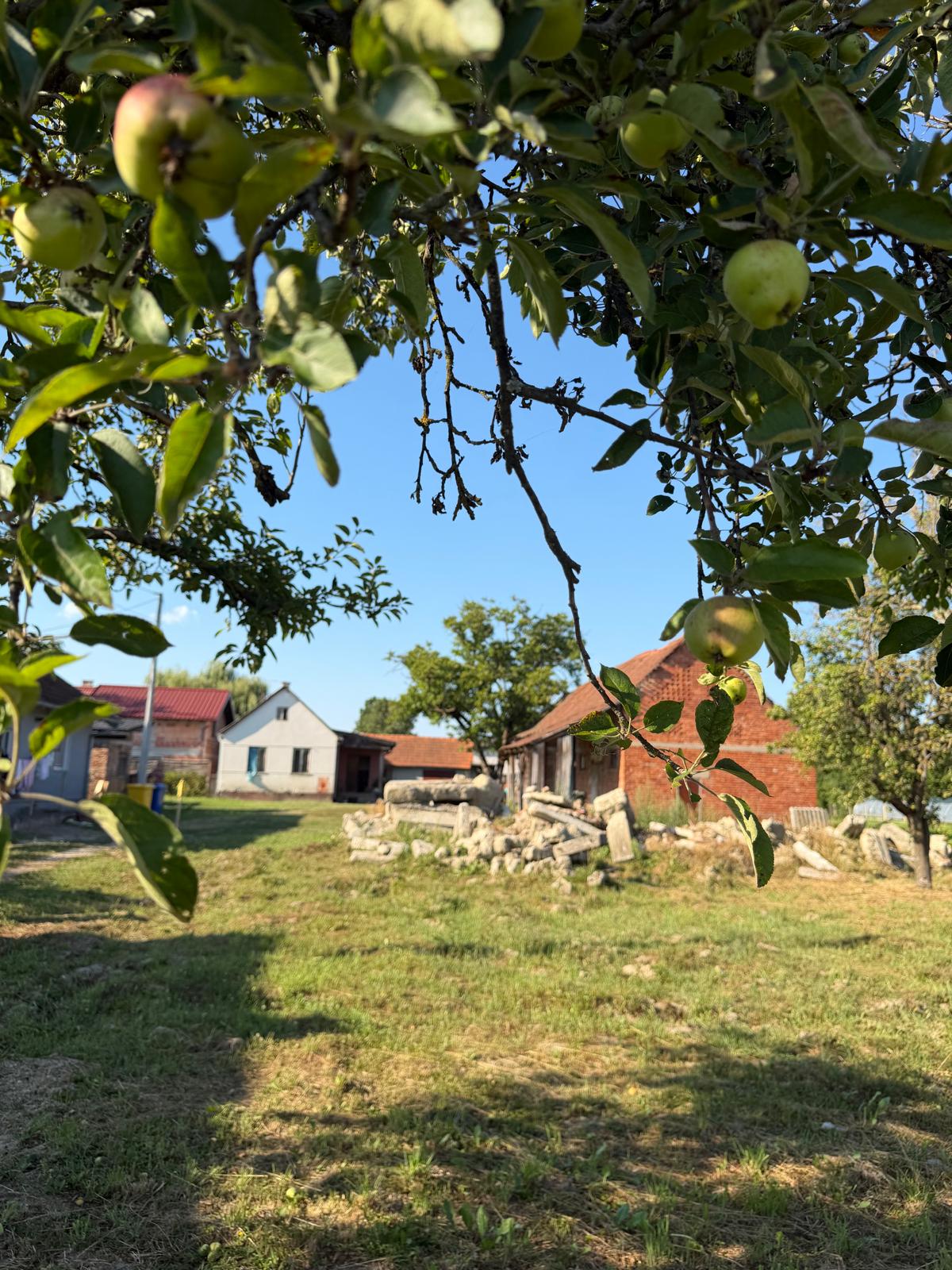 MALA OSTRNA–obiteljsko imanje s građevinskim zemljištem od 2.045 m² i projektom za novu kuću! - Slika 4