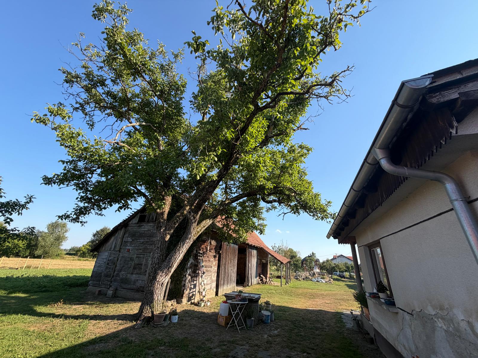 MALA OSTRNA–obiteljsko imanje s građevinskim zemljištem od 2.045 m² i projektom za novu kuću! - Slika 13