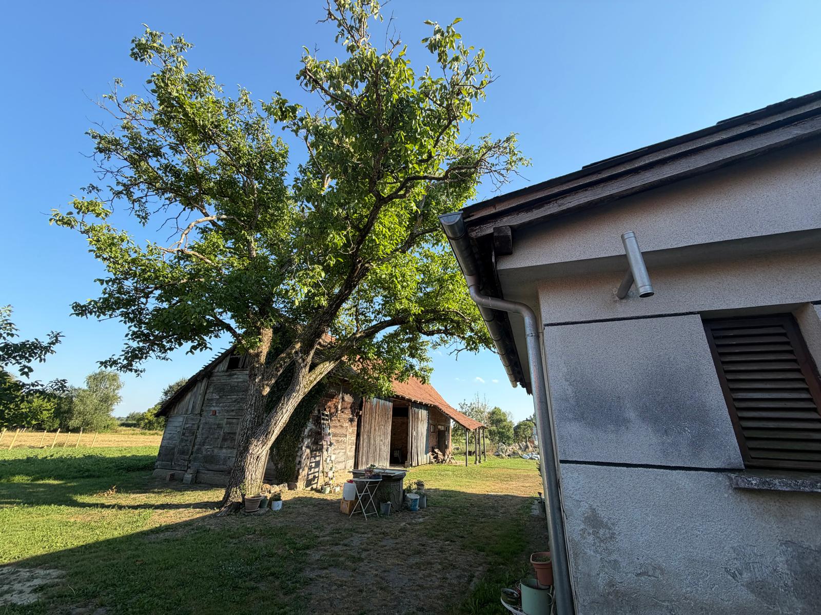MALA OSTRNA–obiteljsko imanje s građevinskim zemljištem od 2.045 m² i projektom za novu kuću! - Slika 14